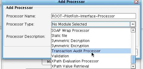 Transaction Audit Processor Add Processor Panel