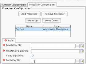 Encryption and Decryption Processors Password Panel