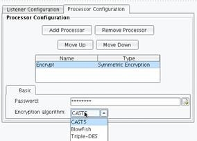 Symmetric Decryption & Encryption Processor Basic Tab Panel