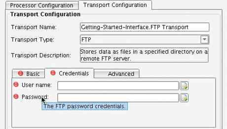 FTP Over SSL Transport, Credentials tab