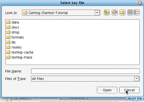 FTP over SSH Transport, key store or certificate