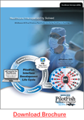 PilotFish Brochure