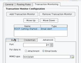 Email Alert Transaction Monitor Server Configuration