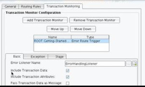 Error Route Trigger Transaction Monitor Error Listener Name configuration item