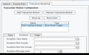 Error Route Trigger Transaction Monitor Exception Class Name configuration item