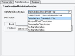 Cobol Copybook to XML Transformations Delimited and Fixed-Width File 