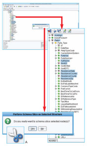 Schema Management or Schema Slicing in Interface Software eiConsole