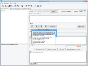 Tab-Delimited to XML Transformation File Specification Editor panel