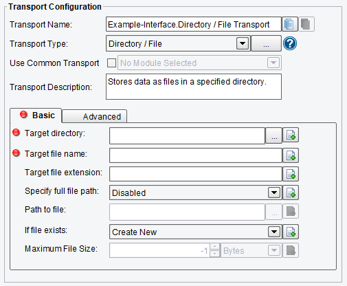 Directory or File Transport Adapter Configuration Options