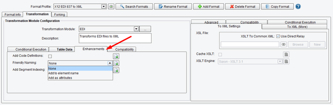 EDI to XML File Transformation with Descriptive Name Option